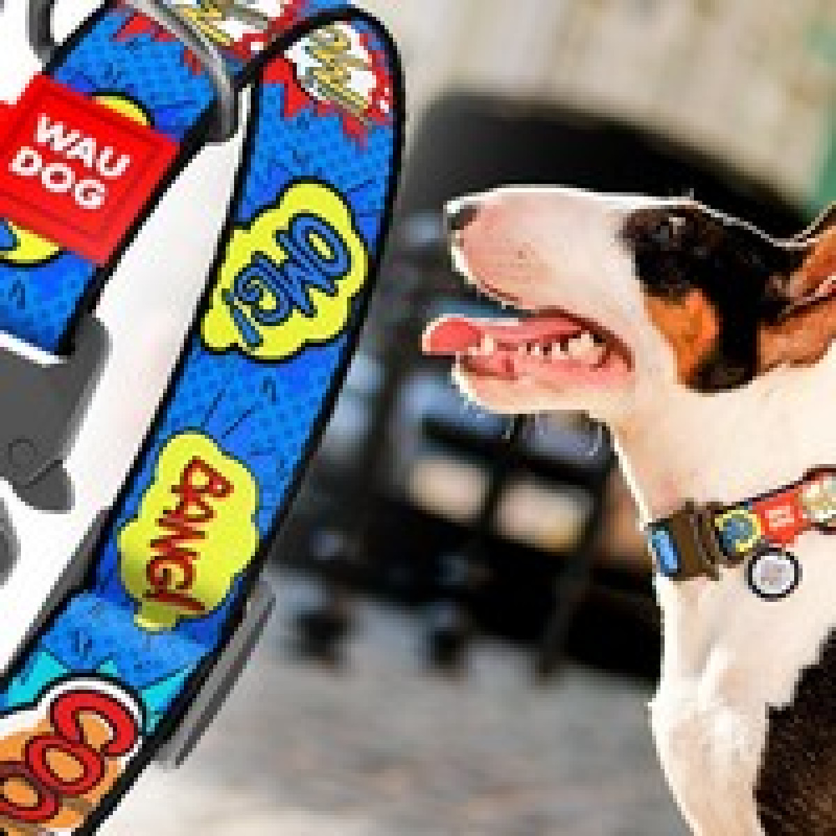 Нашийник для собак WAUDOG Nylon з QR паспортом, малюнок "ВАУ", металева пряжка-фастекс з площадкою для гравіювання