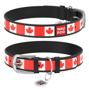 WAUDOG Design genuine leather dog collar with QR passport, 