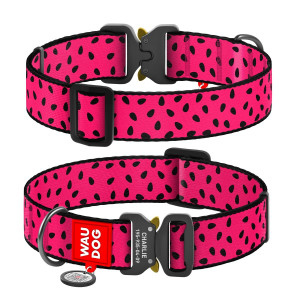 Collar for dogs nylon WAUDOG Nylon with QR passport, "Watermelon" pattern, metal fastex buckle, (width 35 mm, length 43-70 cm)