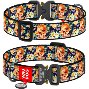 Collar for dogs nylon WAUDOG Nylon with QR passport, 