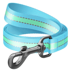 WAUDOG Nylon dog leashlight-accumulative (glows in the dark) blue