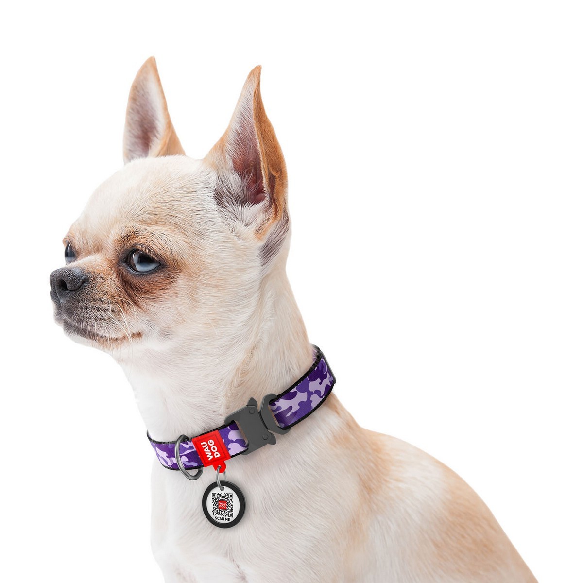 Purple camo hot sale dog collar