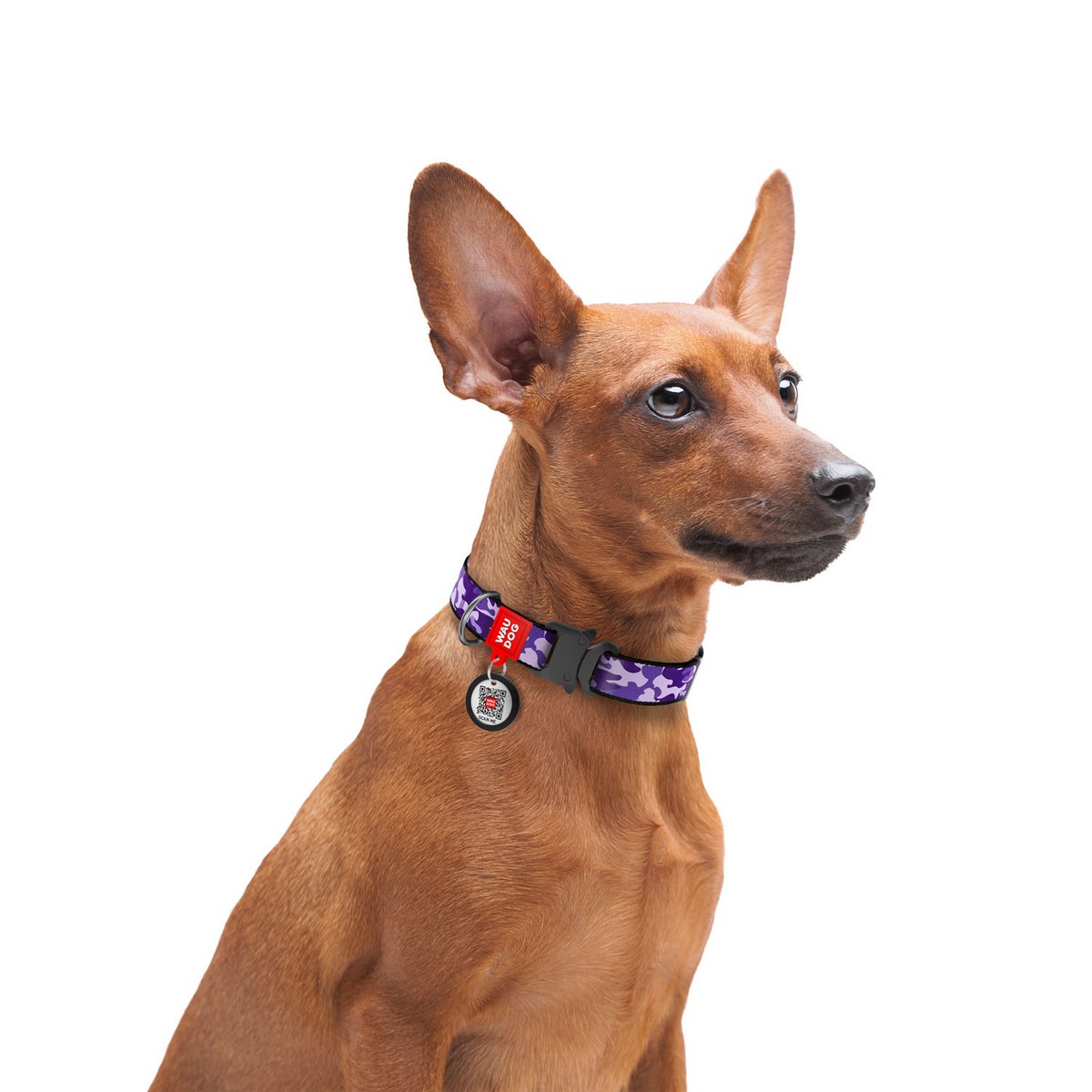 Purple camo hot sale dog collar