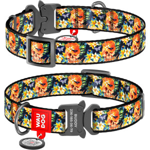 WAUDOG Nylon dog collar with QR-passport, 