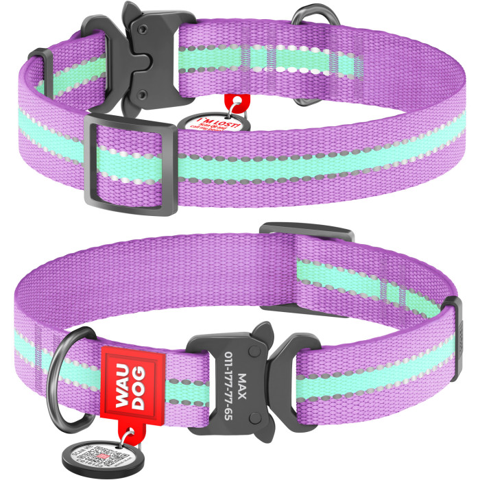 WAUDOG Nylon with QR tag, light-accumulative (glows in the dark), metal fastex buckle, purple