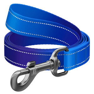 Повідець для собак нейлоновий WAUDOG Nylon Mono світловідбивний, синій