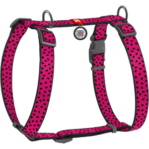 WAUDOG Nylon dog H-harness with QR-passport, "Watermelon" design