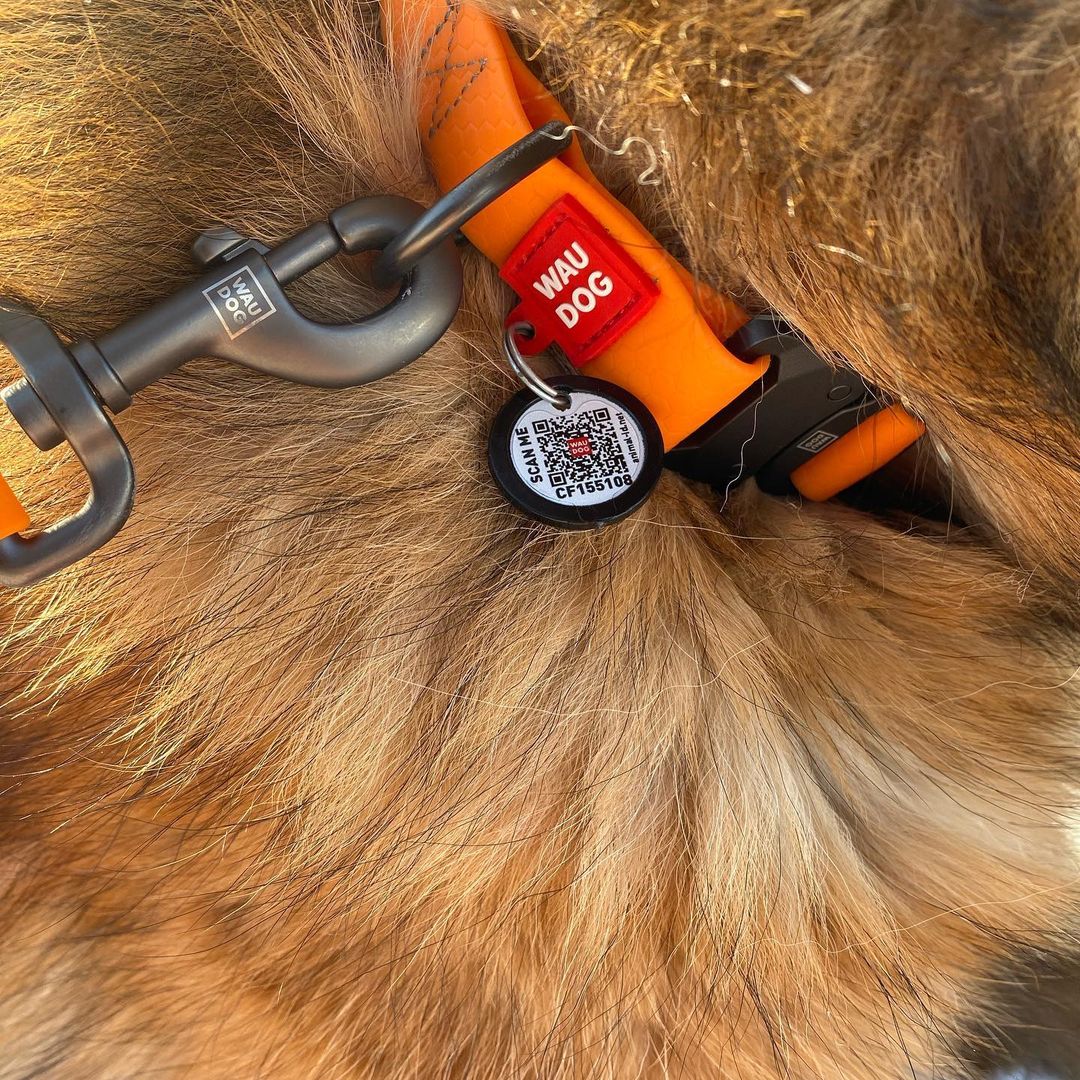 Нашийник для собак водостійкий WAUDOG Waterproof, металева пряжка-фастекс, помаранчевий