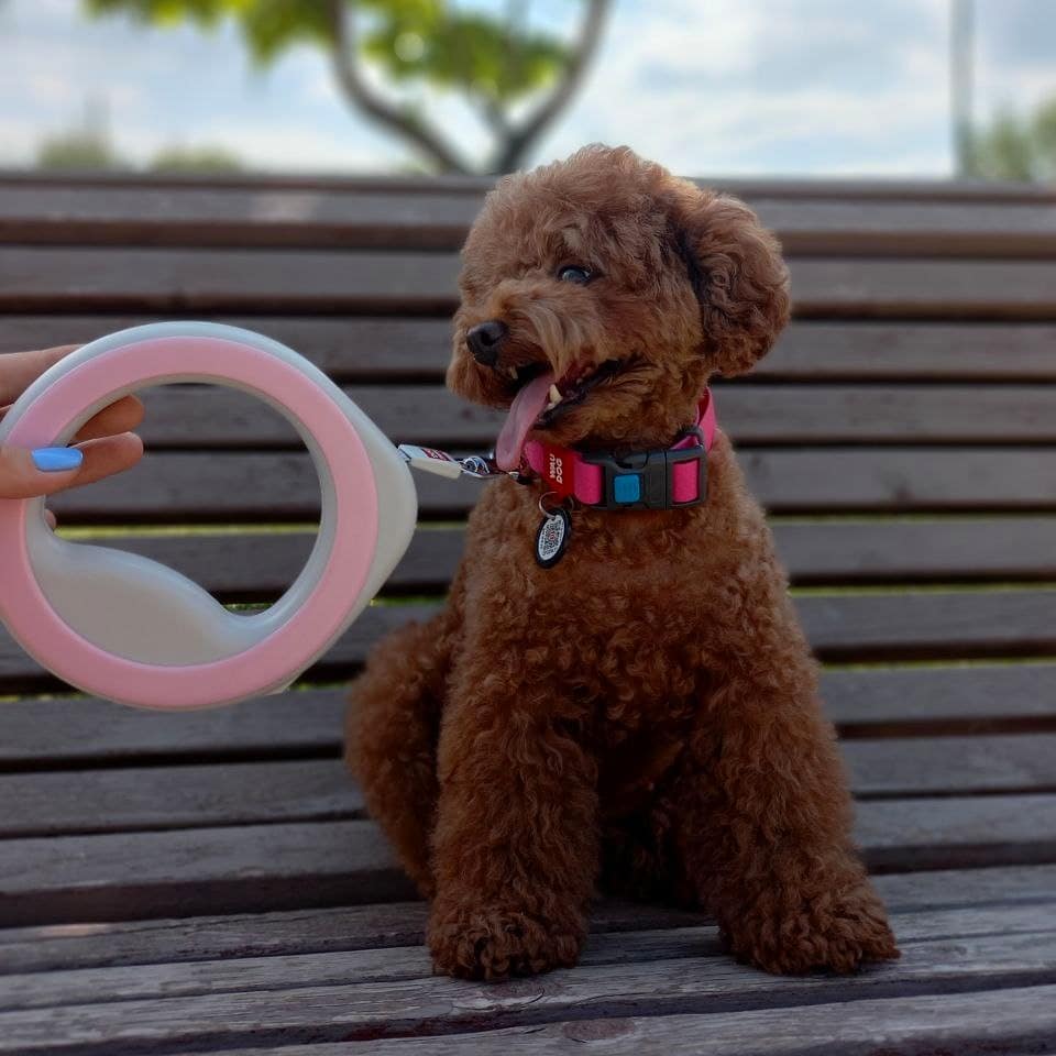Повідець-рулетка для собак кругла WAUDOG, розмір XS-M, до 40 кг, 2,9 м, колір рожевий